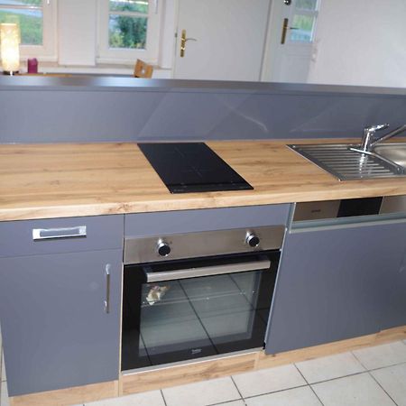 Ferien-Wohnung Am Menzer-Park Neckargemünd Zewnętrze zdjęcie